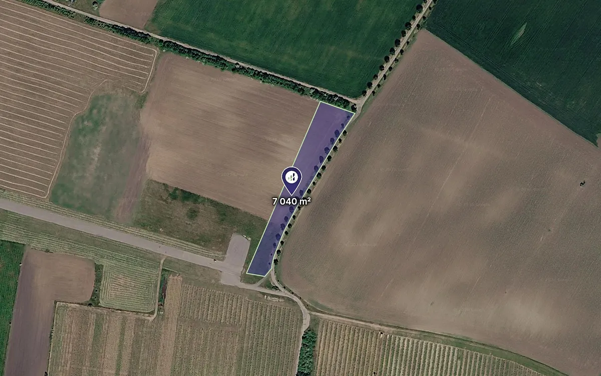 Prodej pole 7040 m²